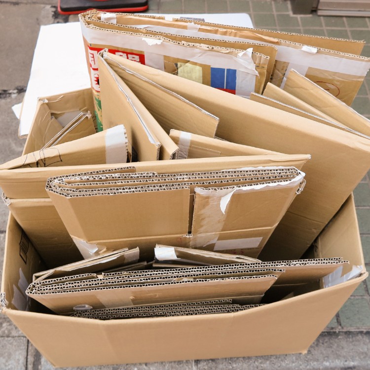 Call Today Haul Today