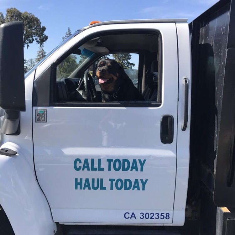 Call Today Haul Today